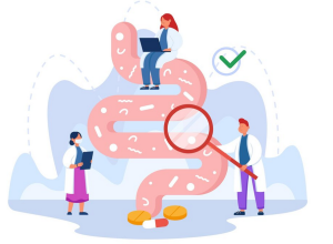 Gut system